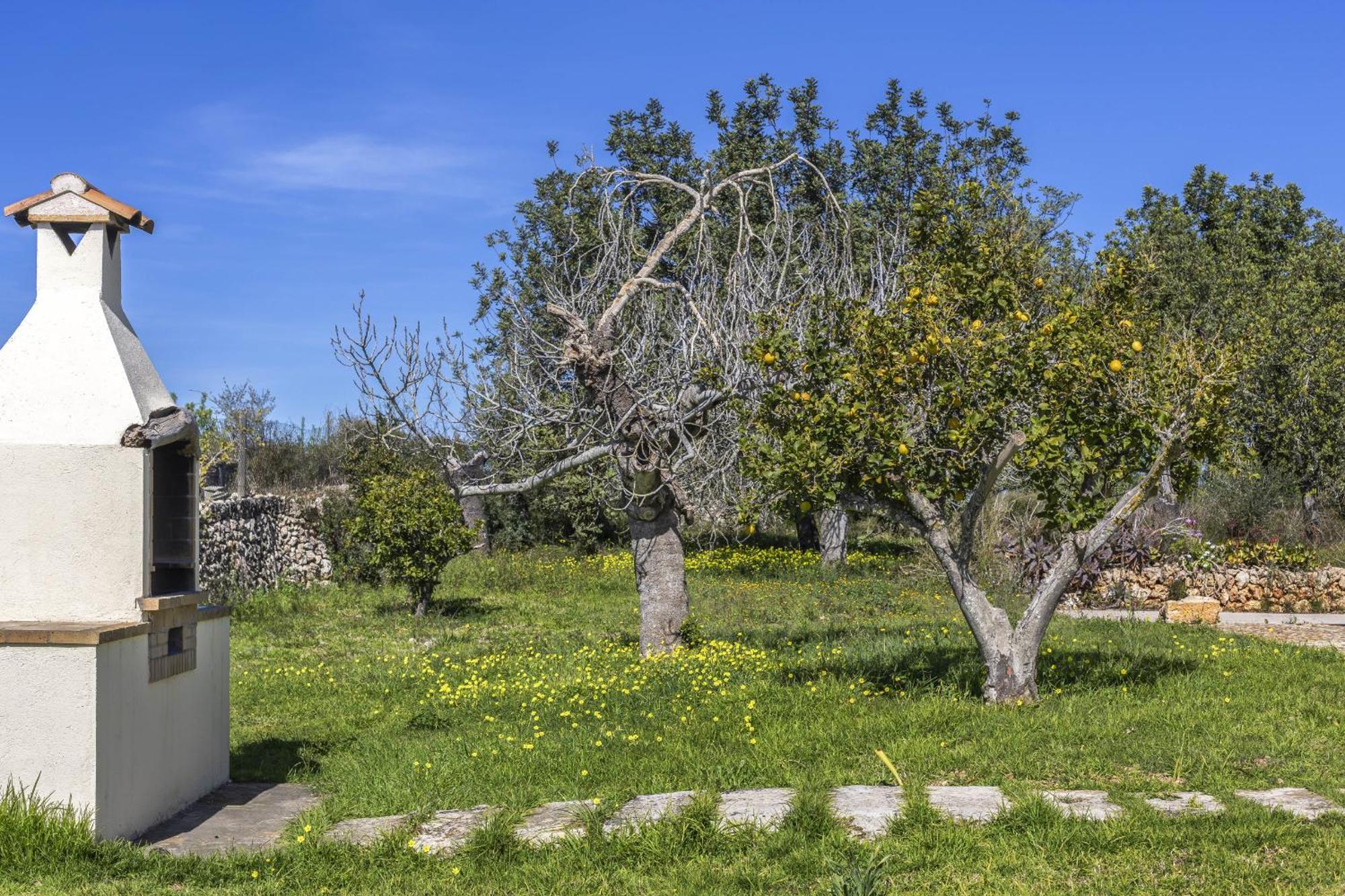 Finca Sa Torreta Santa Margalida Dış mekan fotoğraf